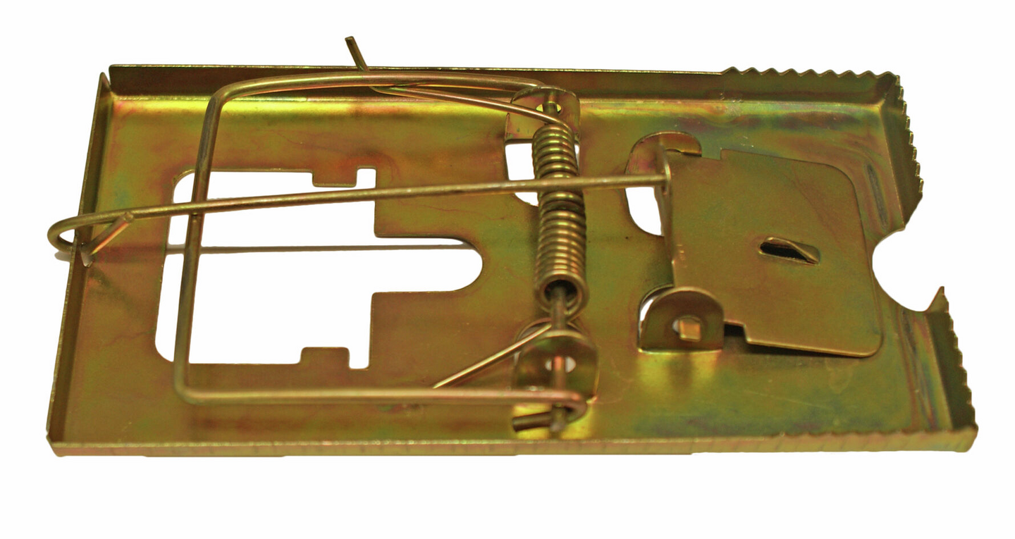 Hiirenloukku metallia