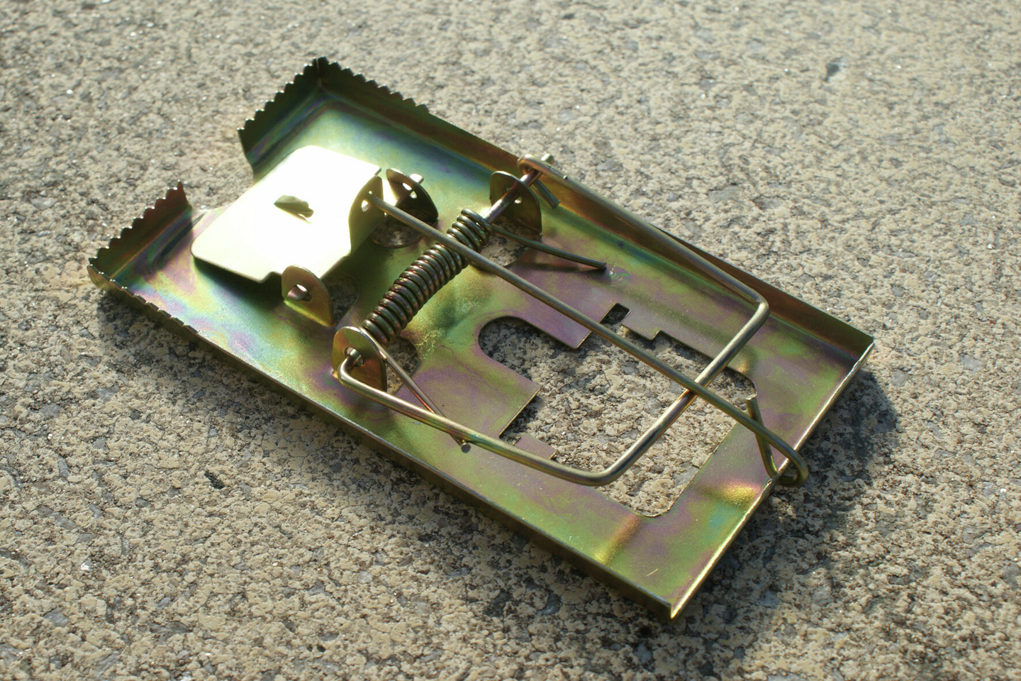 Hiirenloukku metallia