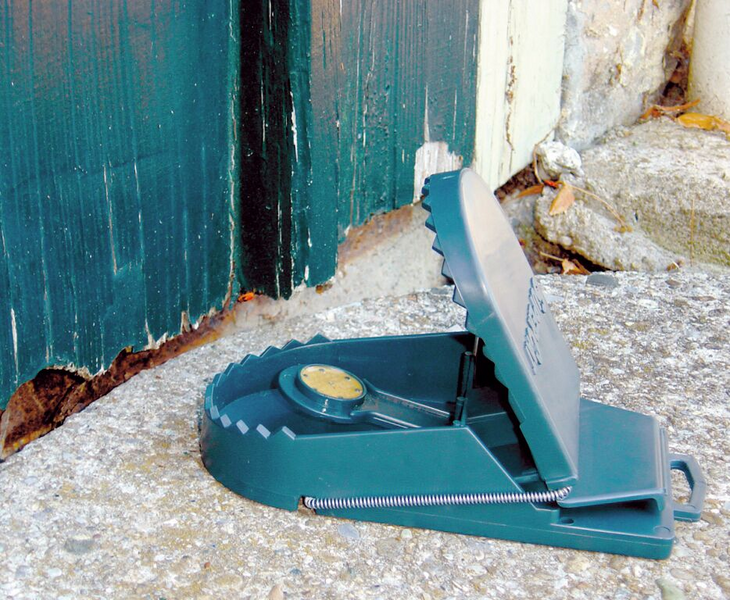 Hiirenloukku SuperCat 2kpl