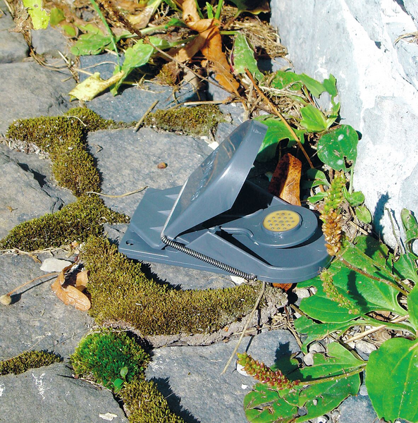 Hiirenloukku SuperCat 2kpl