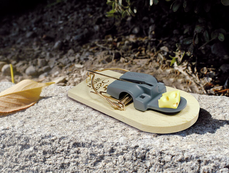 Hiirenloukku SuperCat puinen 2kpl