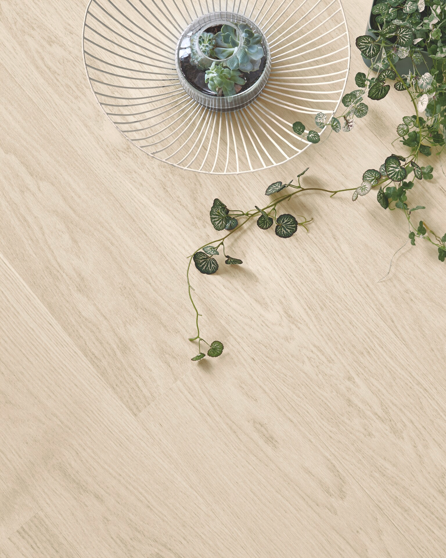 Parketti Tarkett Shade tammi Cotton White 1-s