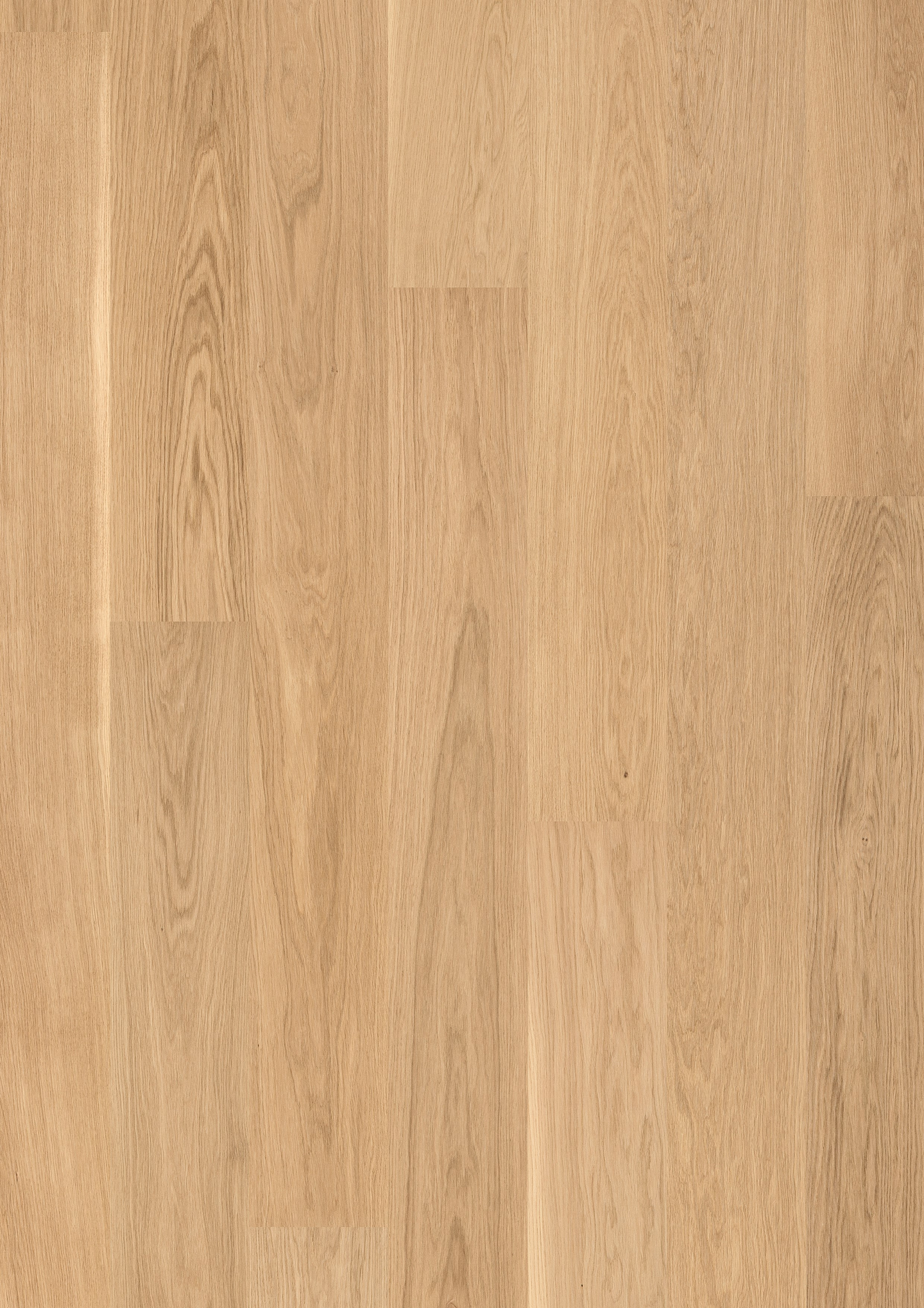 Parketti Tarkett Shade tammi Essence 1-s harjattu