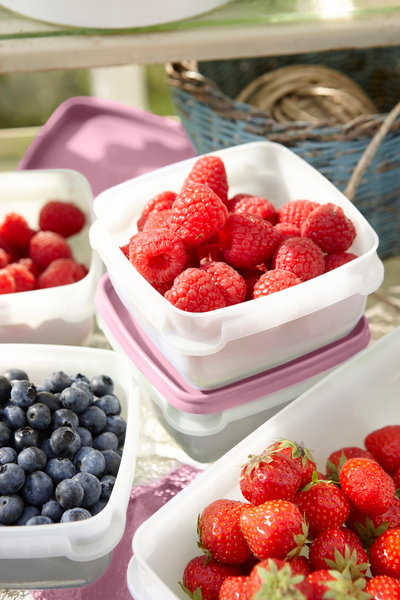 Pakastusrasia Orthex Gastromax 6x0,3l