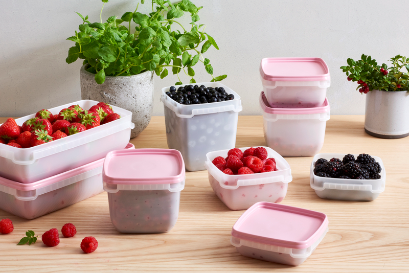 Pakastusrasia Orthex Gastromax 6x0,3l