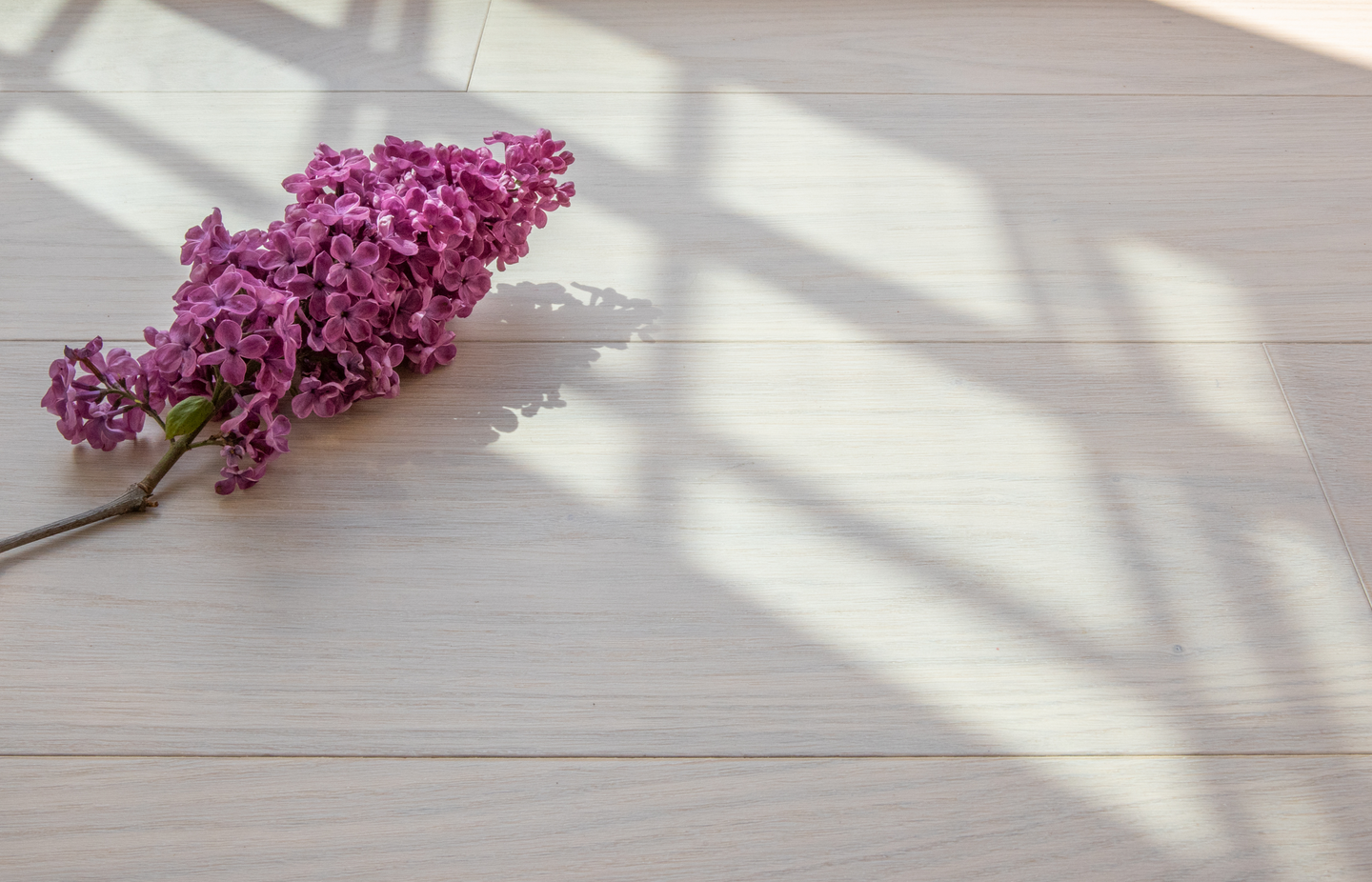 Kovetettu puulattia tammi Dalby 3.0 L Powder White mattalakka KL33