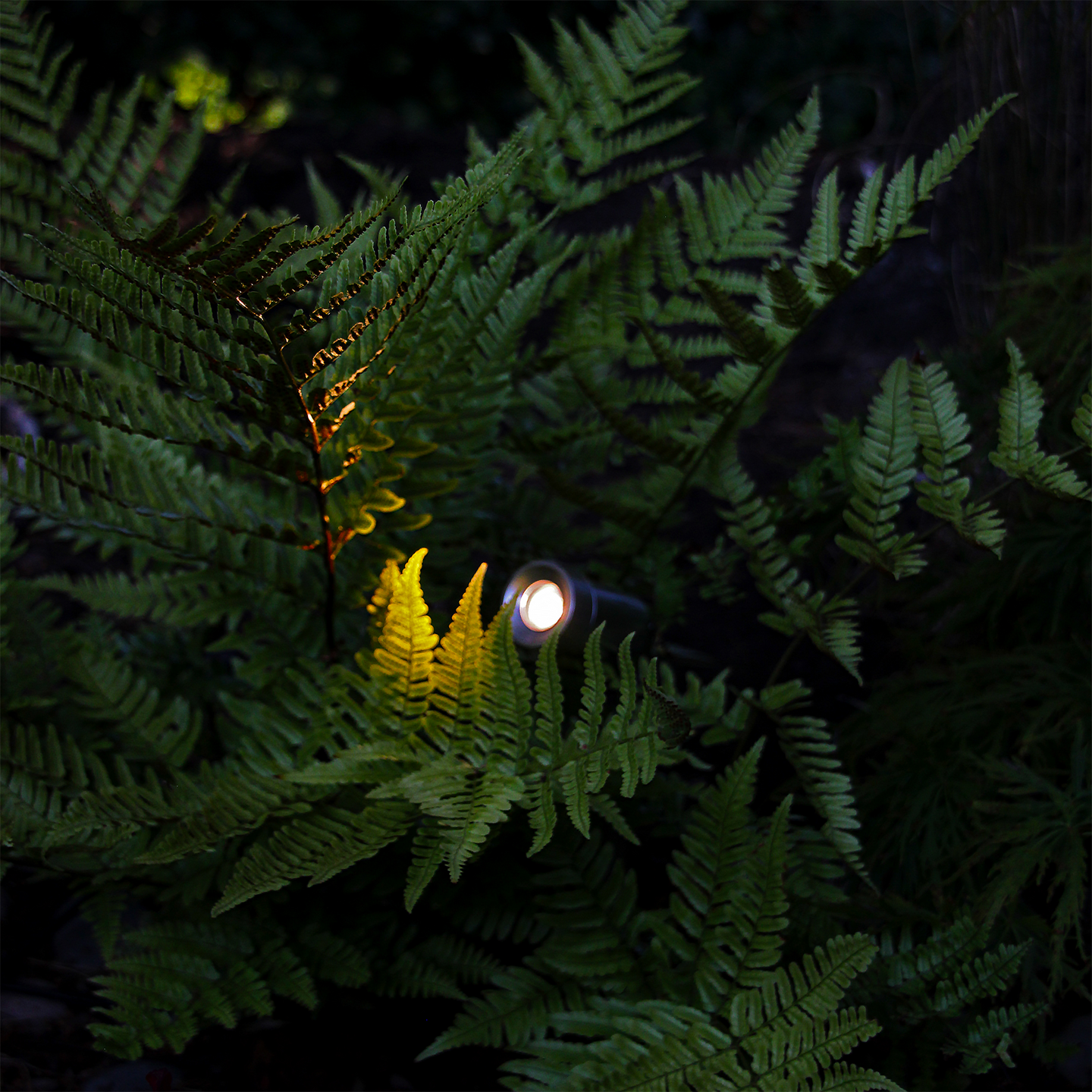 MARKSPOT LIGHTSON OPTICA 1W