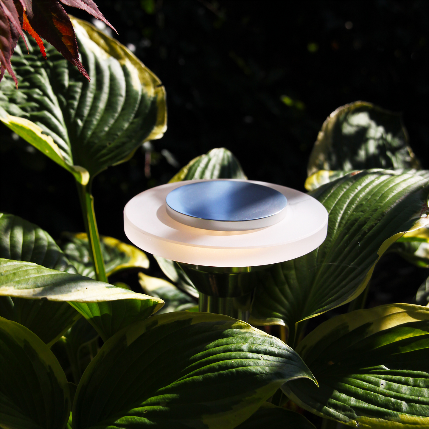 POLLARE LIGHTSON ELLIPS 37CM