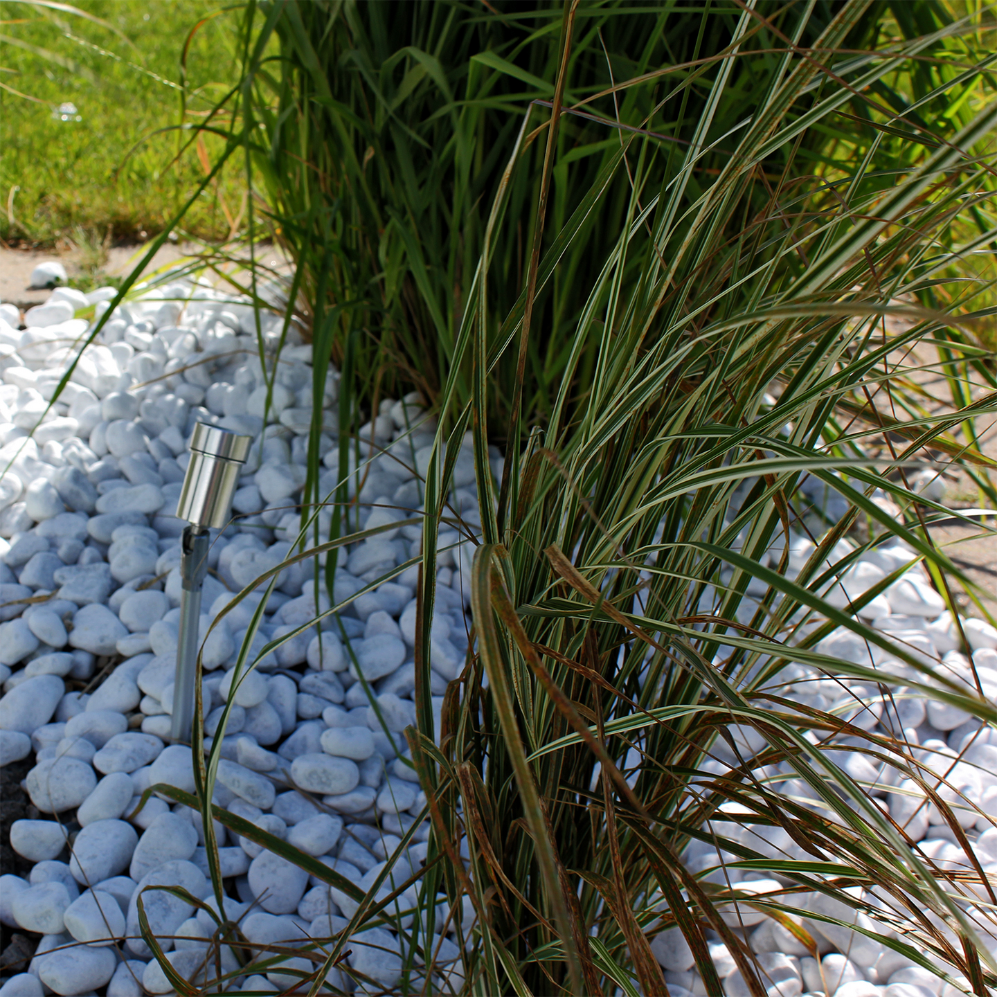 MARKSPOT LIGHTSON OPTICA 1W