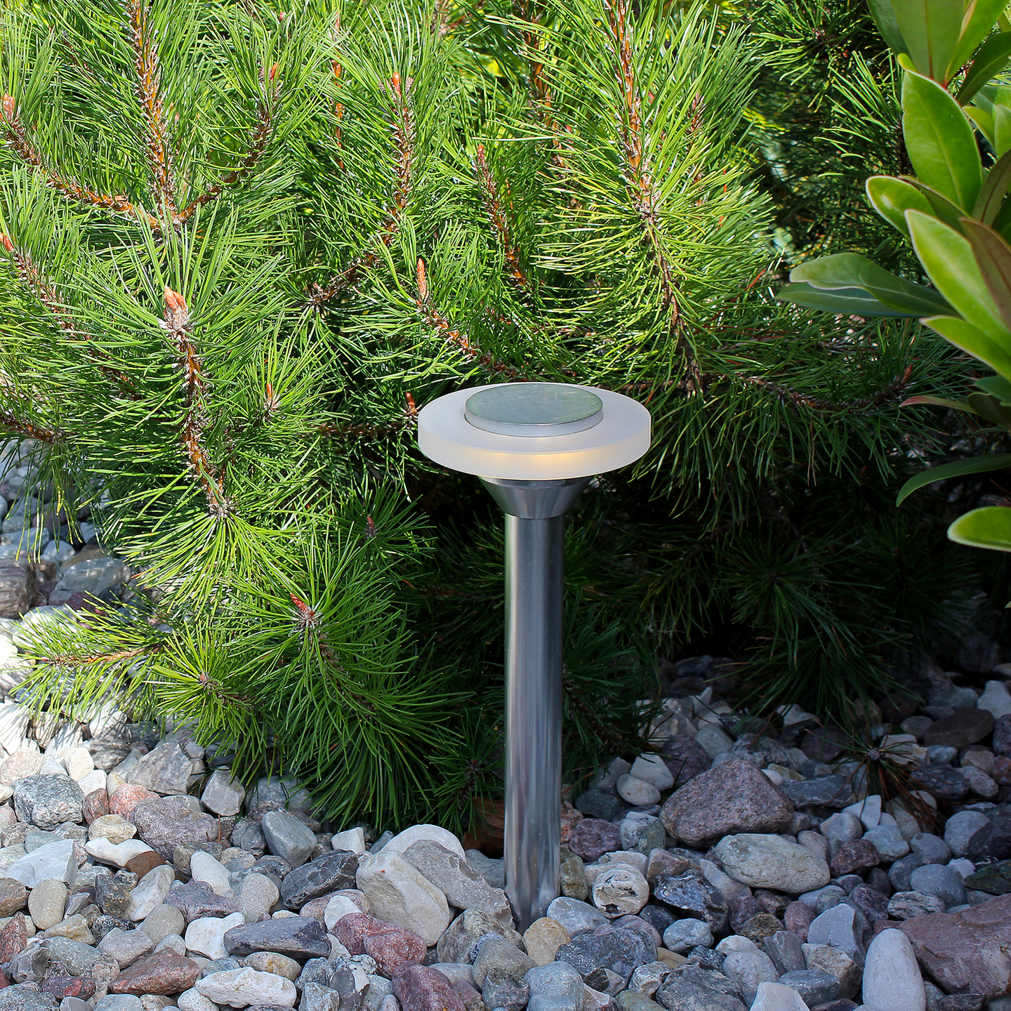 POLLARE LIGHTSON ELLIPS 37CM