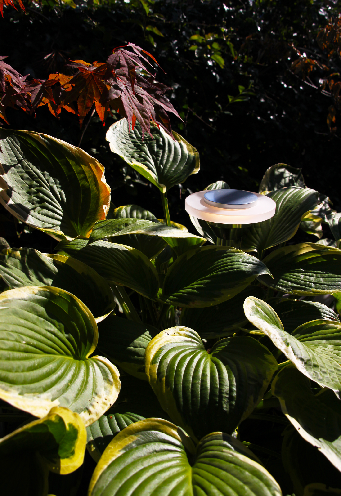 POLLARE LIGHTSON ELLIPS 37CM