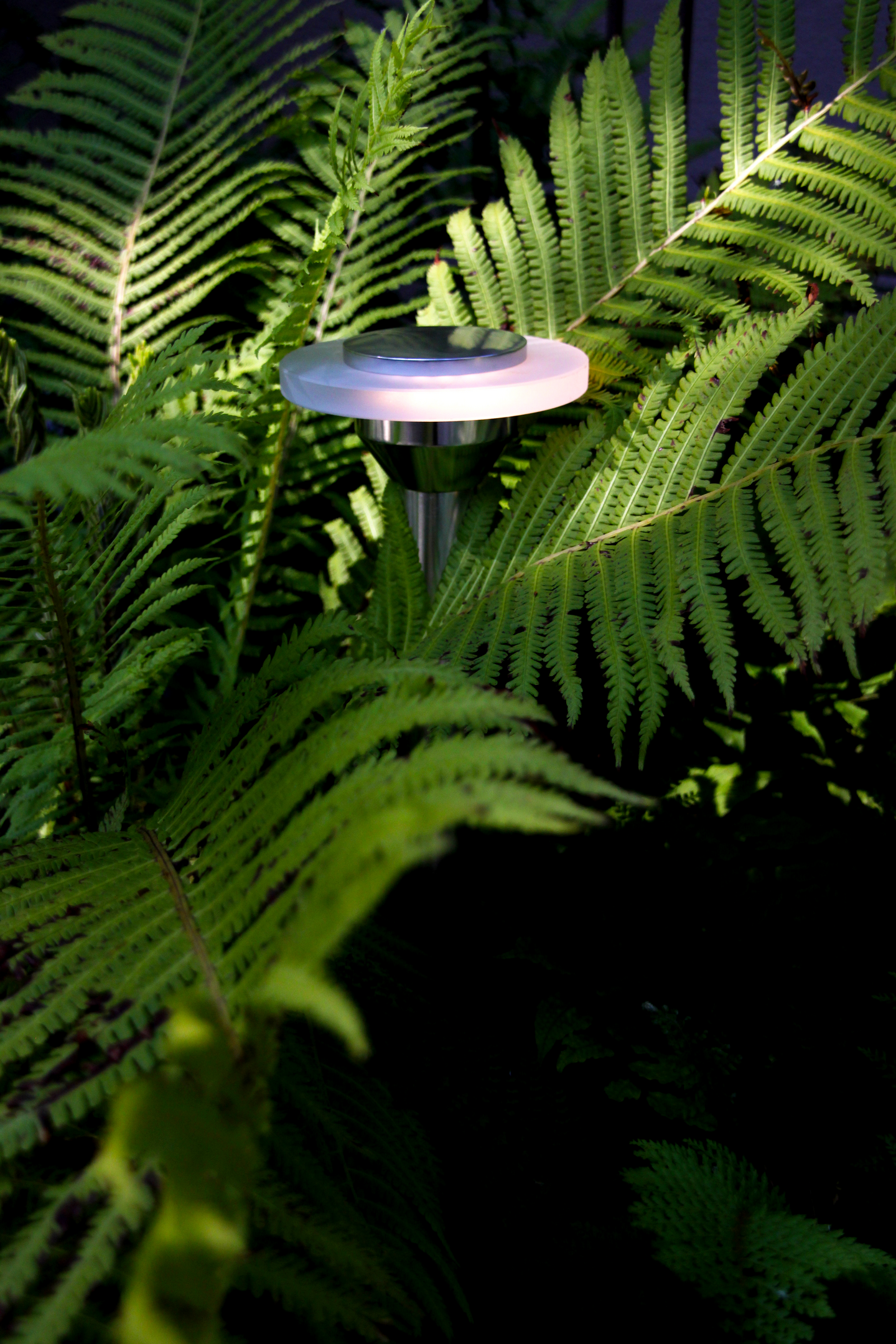 POLLARE LIGHTSON ELLIPS 37CM