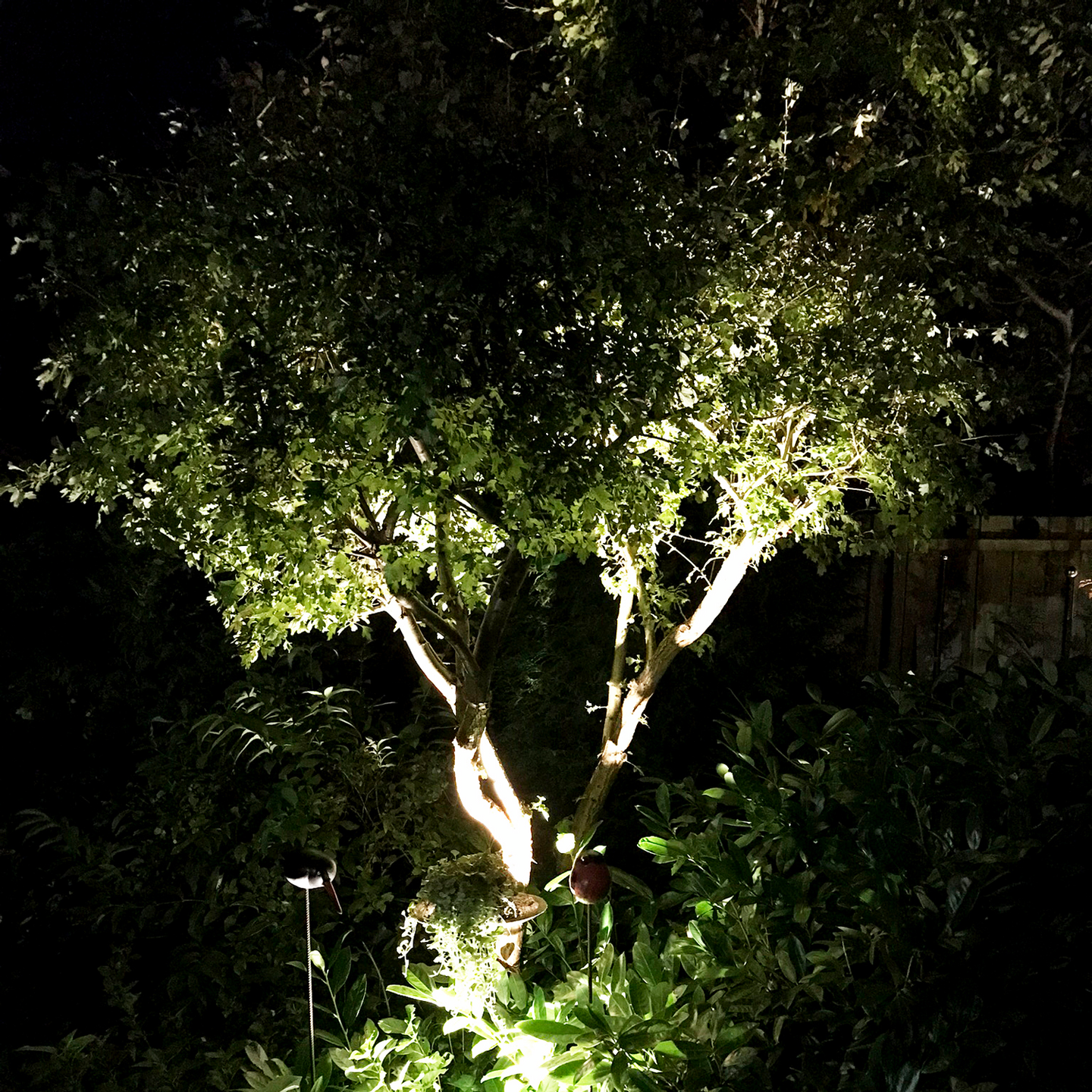 MARKSPOT LIGHTSON MEDUSA 8W 9CM