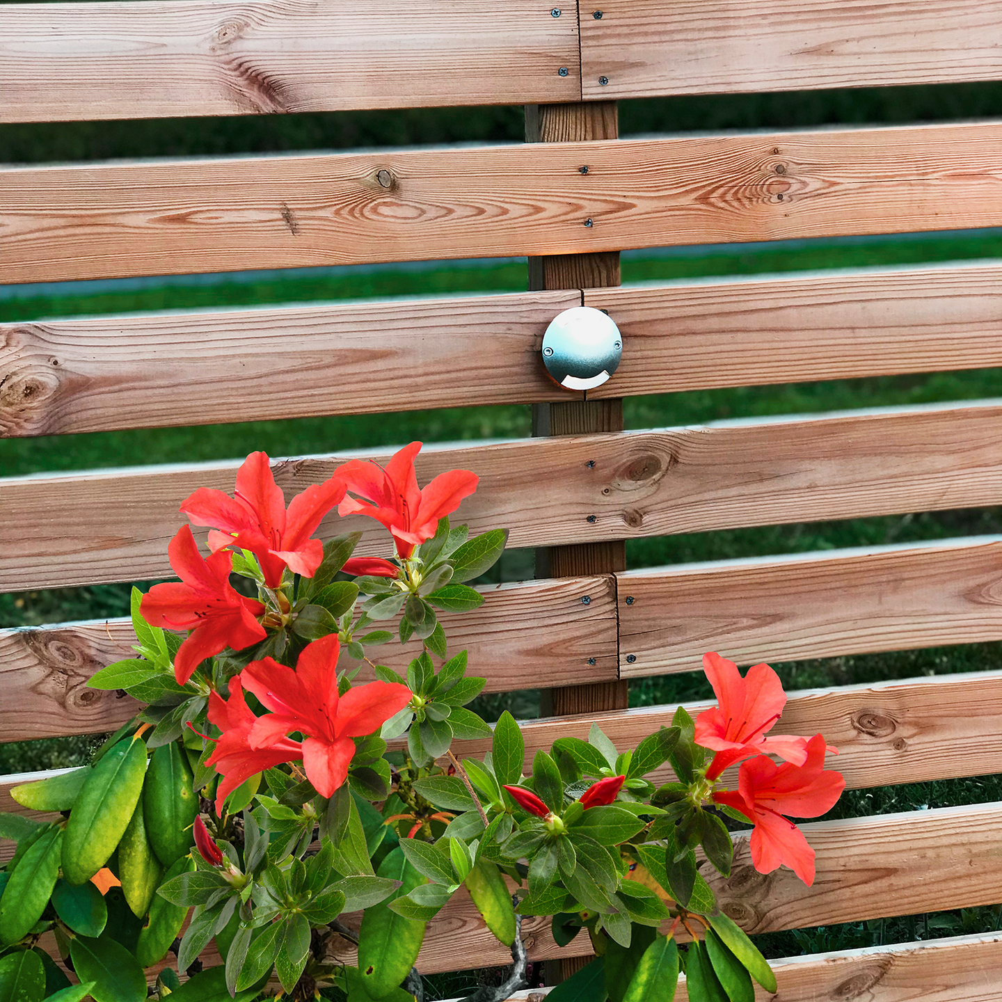 DECKLIGHT LIGHTSON ZENIT 0 5W