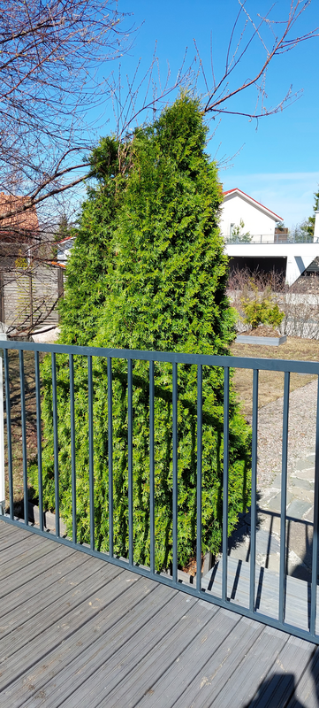 Aitaelementti Cello 100x200cm metallinen harmaa