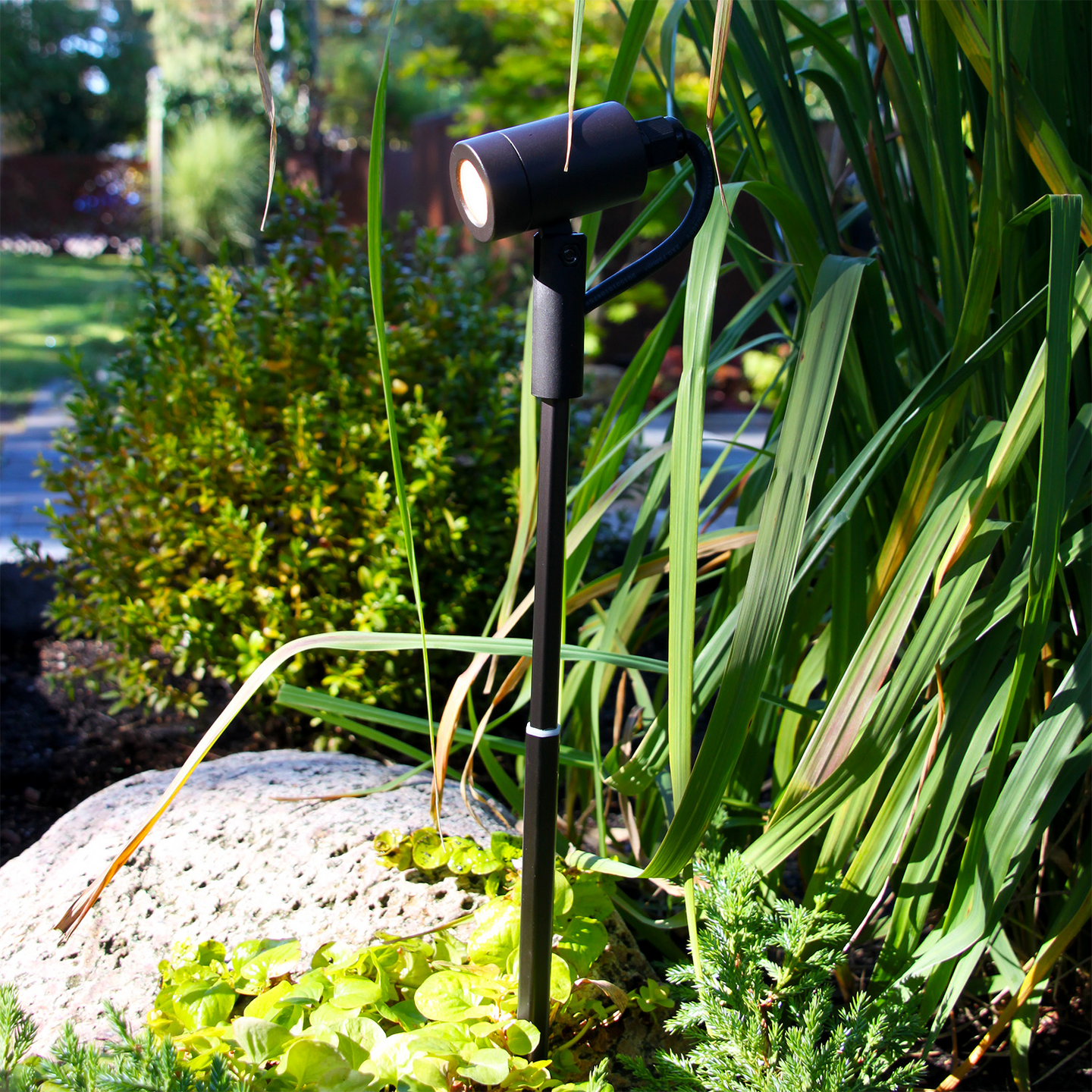 MARKSPOT ASTRO SVART