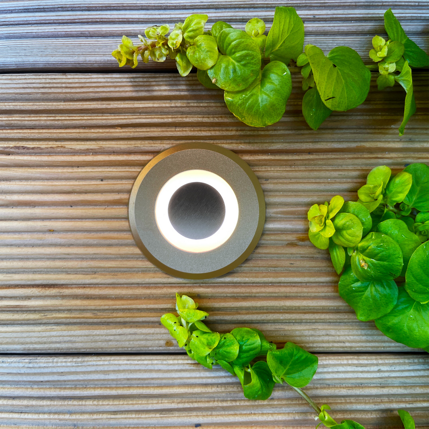 DECKLIGHT LYNX BRONS LIGHTSON