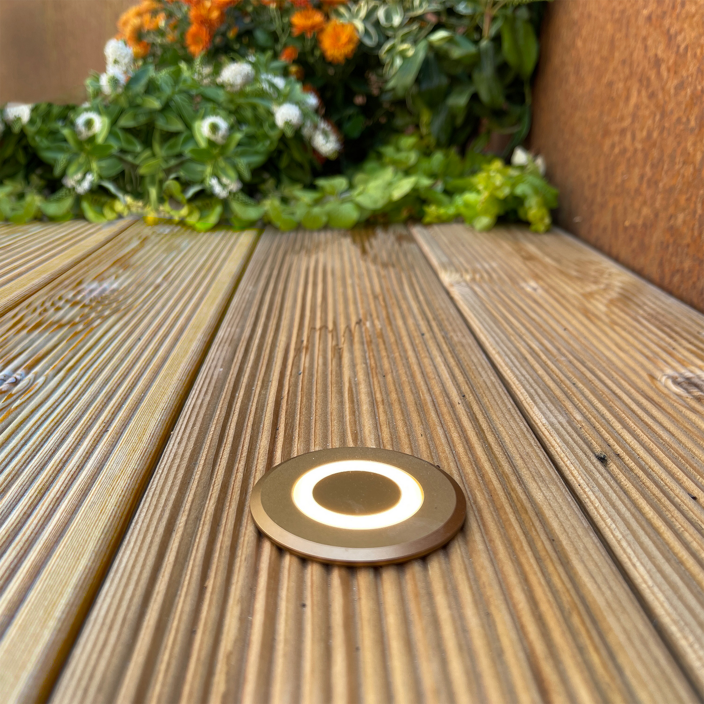 DECKLIGHT LYNX BRONS LIGHTSON