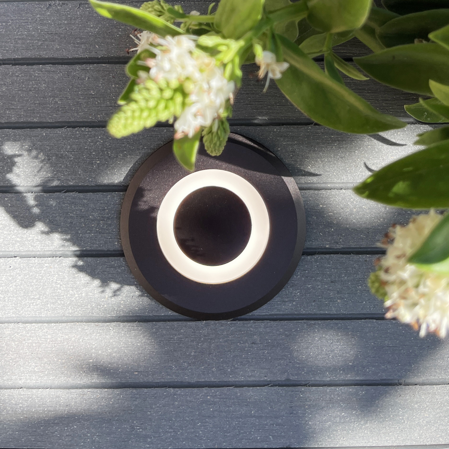 DECKLIGHT LYNX MÖRKGRÅ LIGHTSON