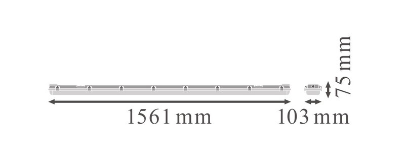 Valaisinrunko LEDVANCE Damp Proof Dp Housing 1500 2 lamppua IP65