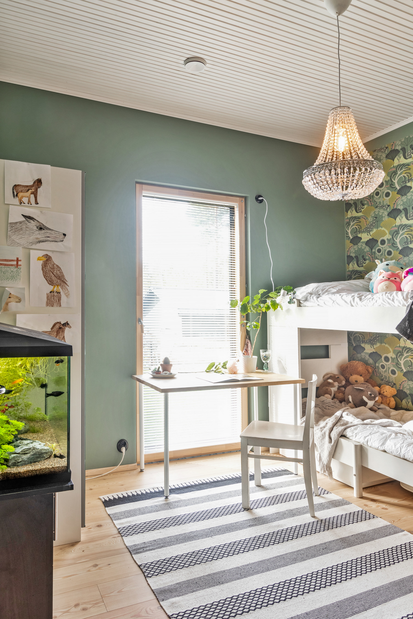 Riippuvalaisin Sessak Isabel kromi