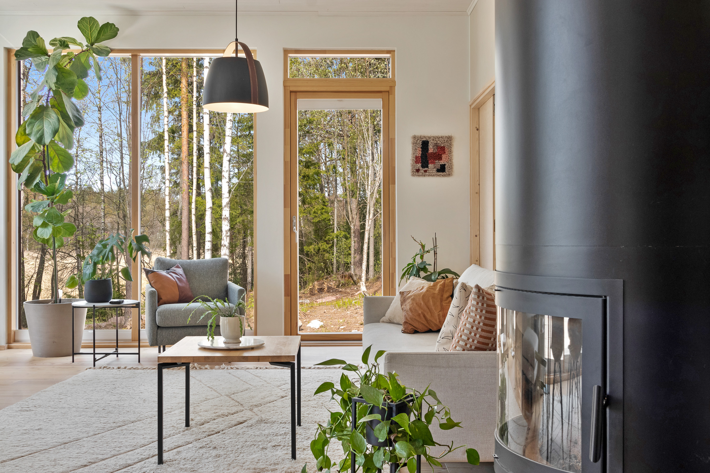 Riippuvalaisin Sessak Cali mattamusta