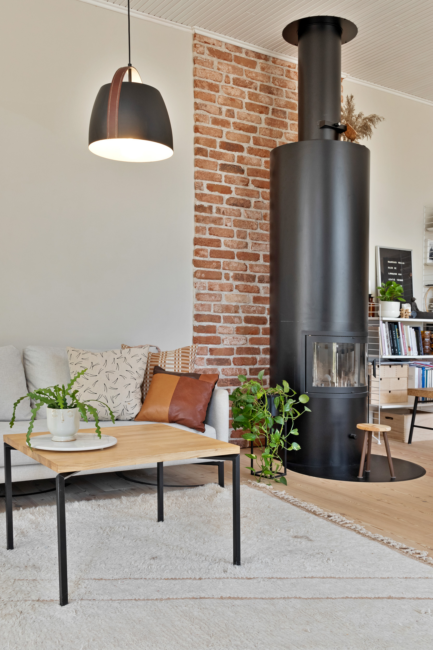 Riippuvalaisin Sessak Cali mattamusta