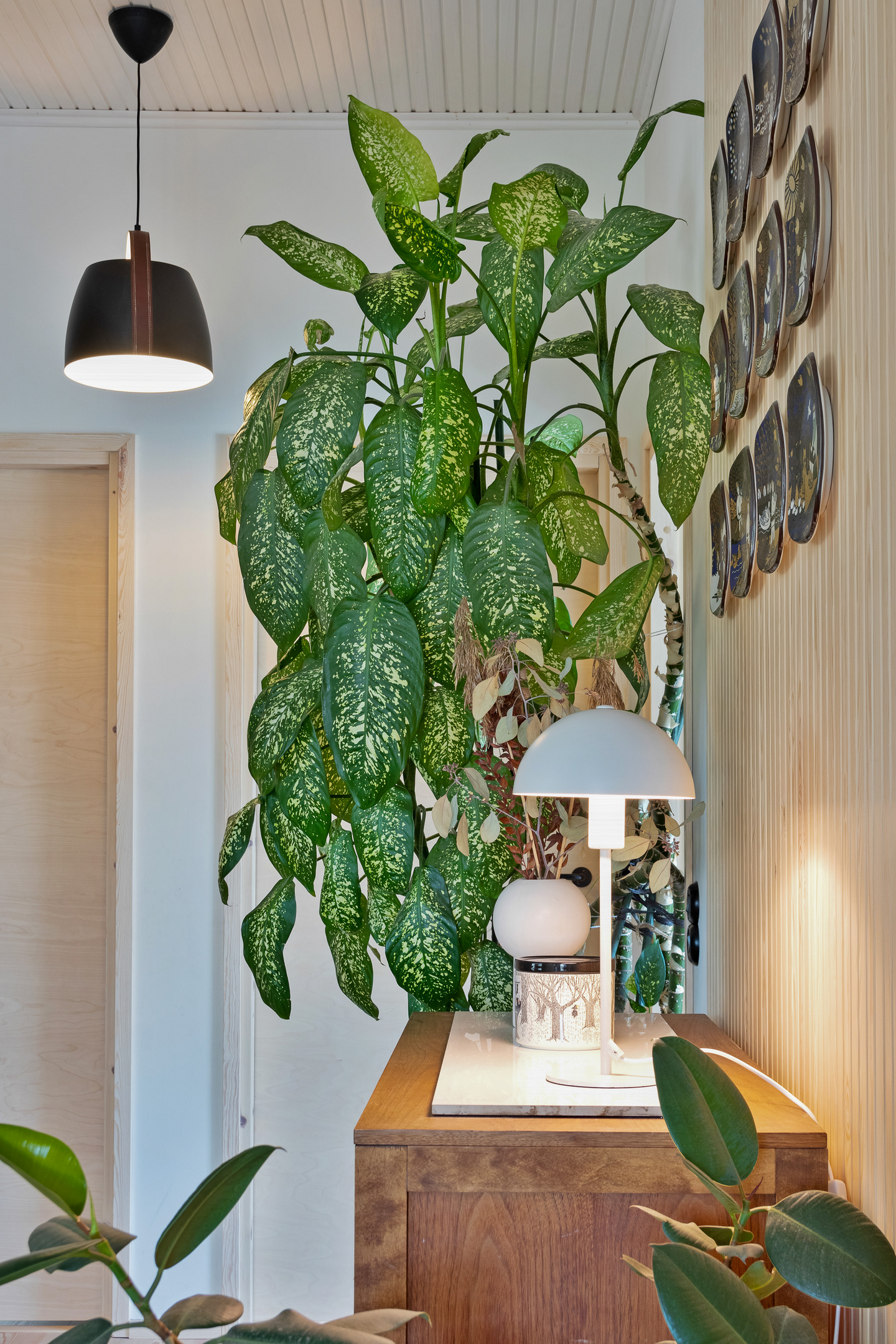 Riippuvalaisin Sessak Cali mattamusta