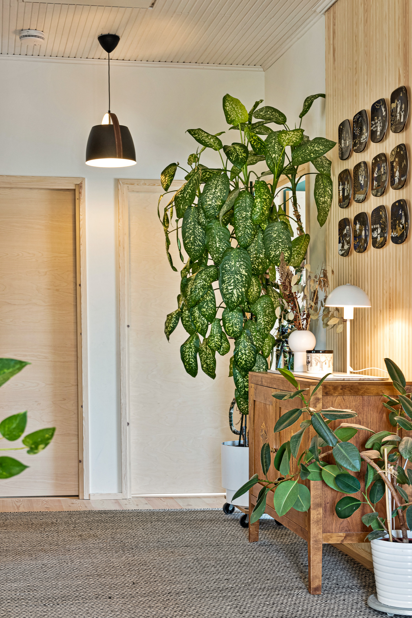 Riippuvalaisin Sessak Cali mattamusta