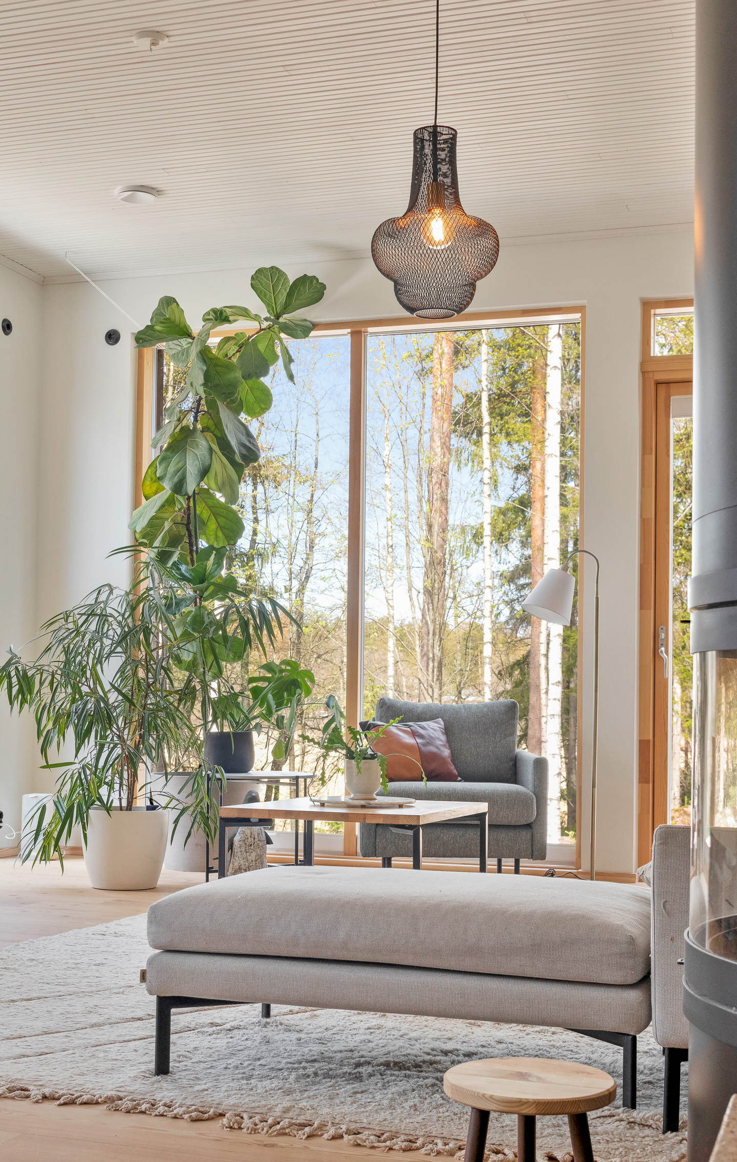 Riippuvalaisin Sessak Demi 1 musta