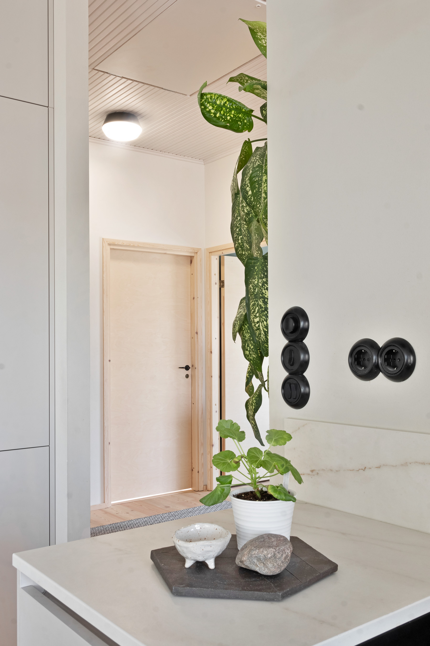 Plafondi Sessak Laaka musta