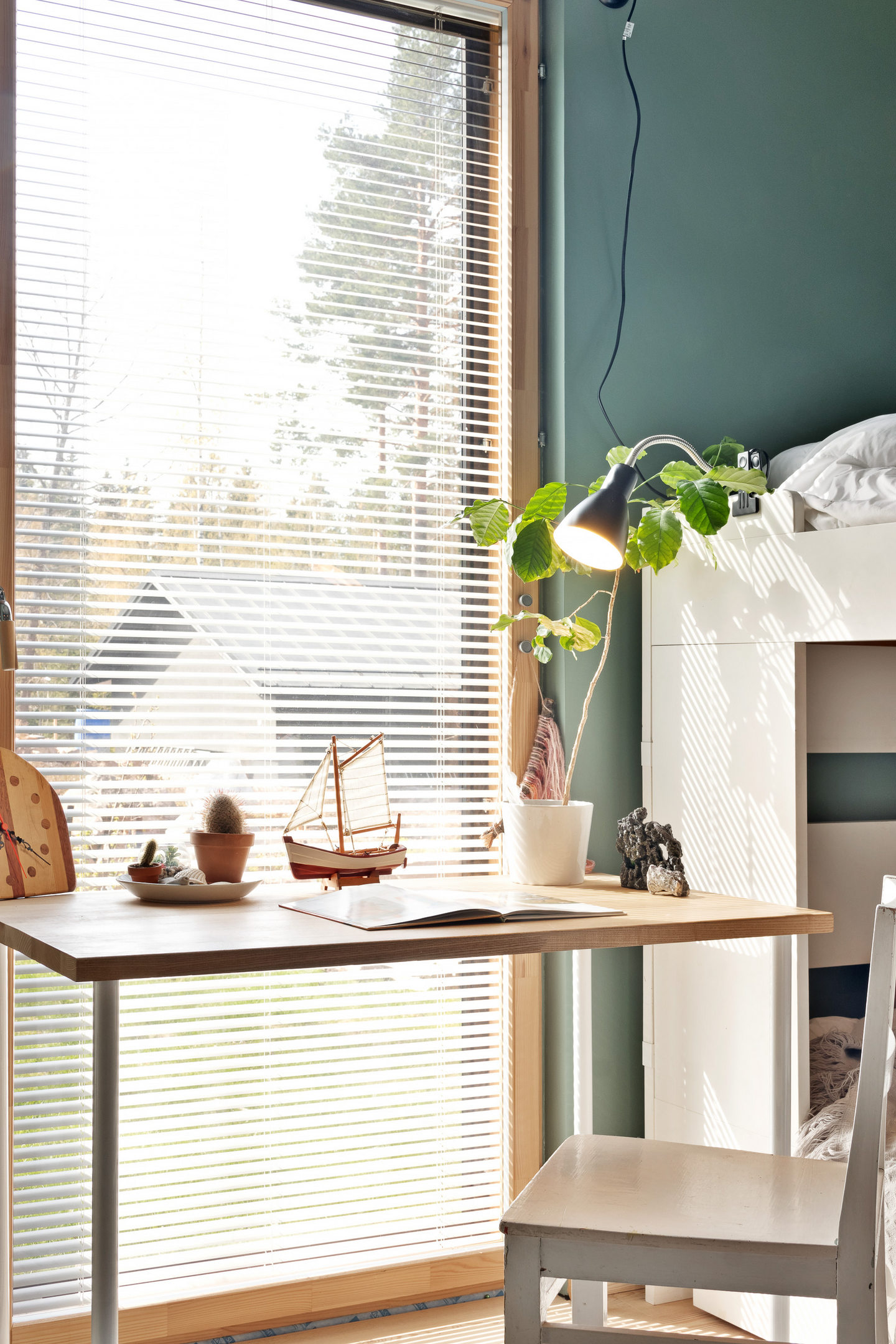 Nipistinvalaisin Sessak May musta