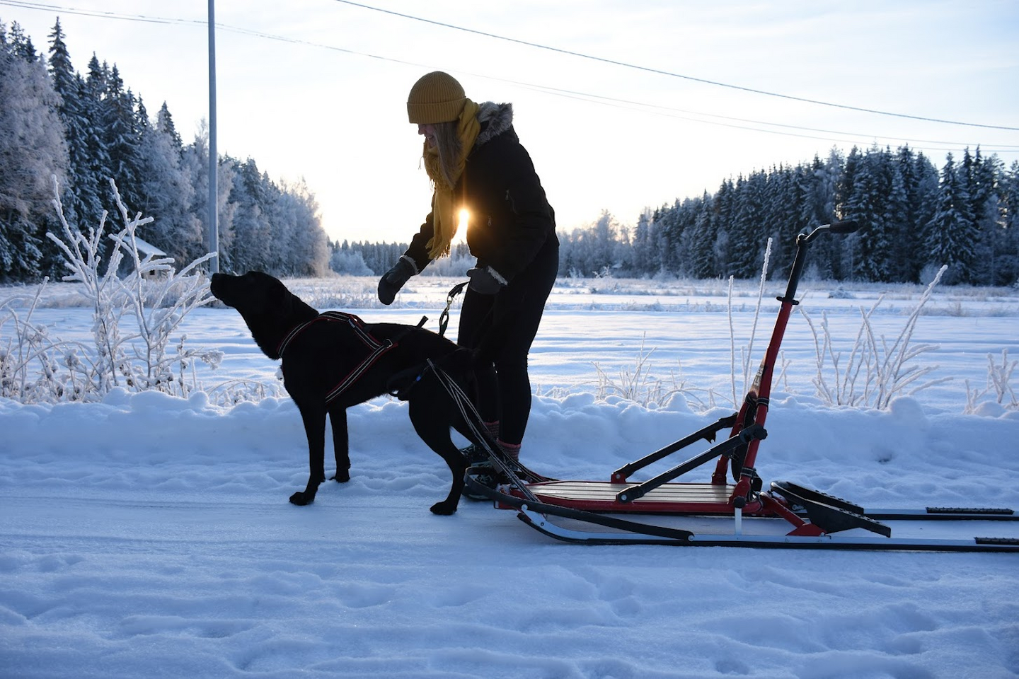 Potkukelkka ESLA Adventure punainen
