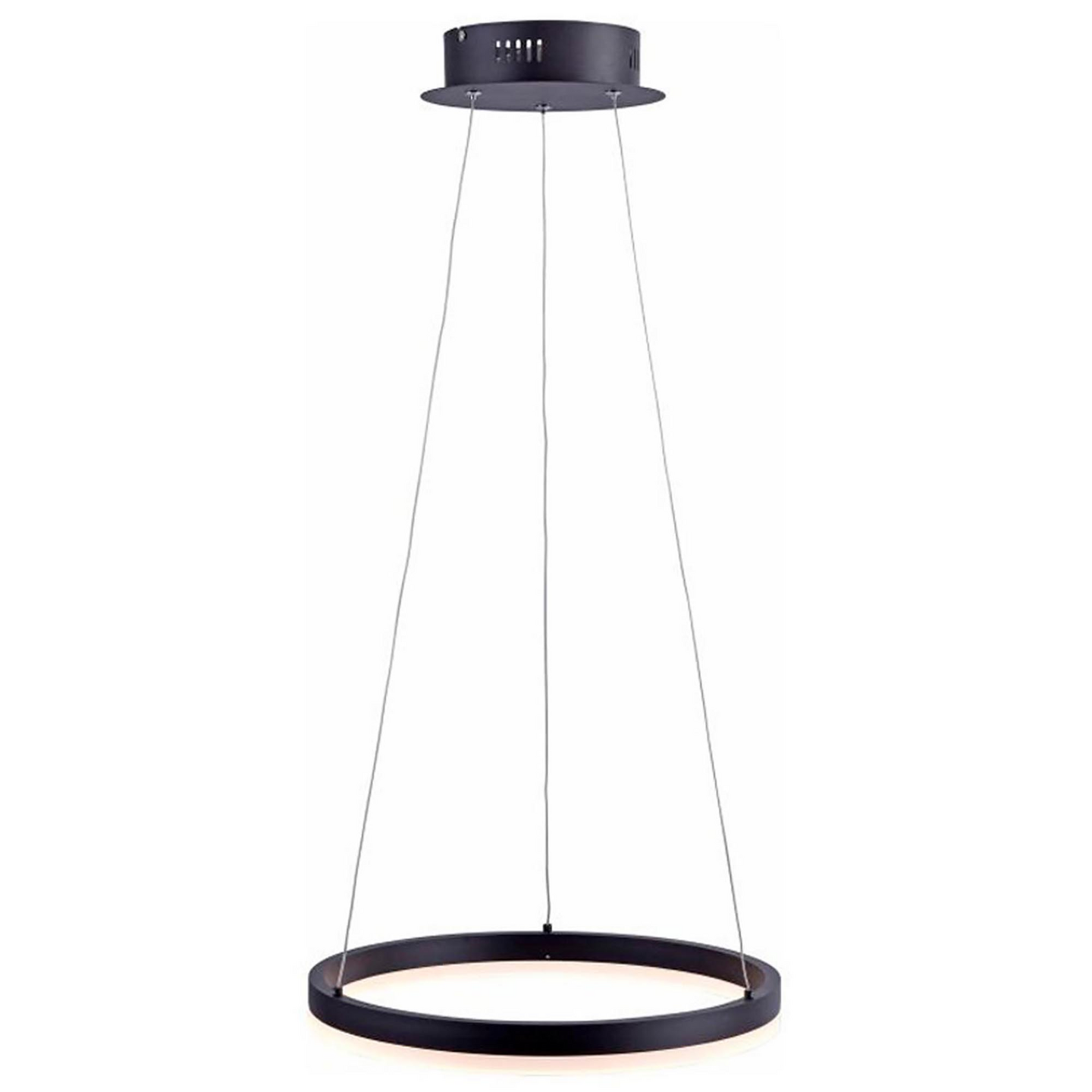 Riippuvalaisin Paul Neuhaus Titus led 450mm 28W antrasiitti