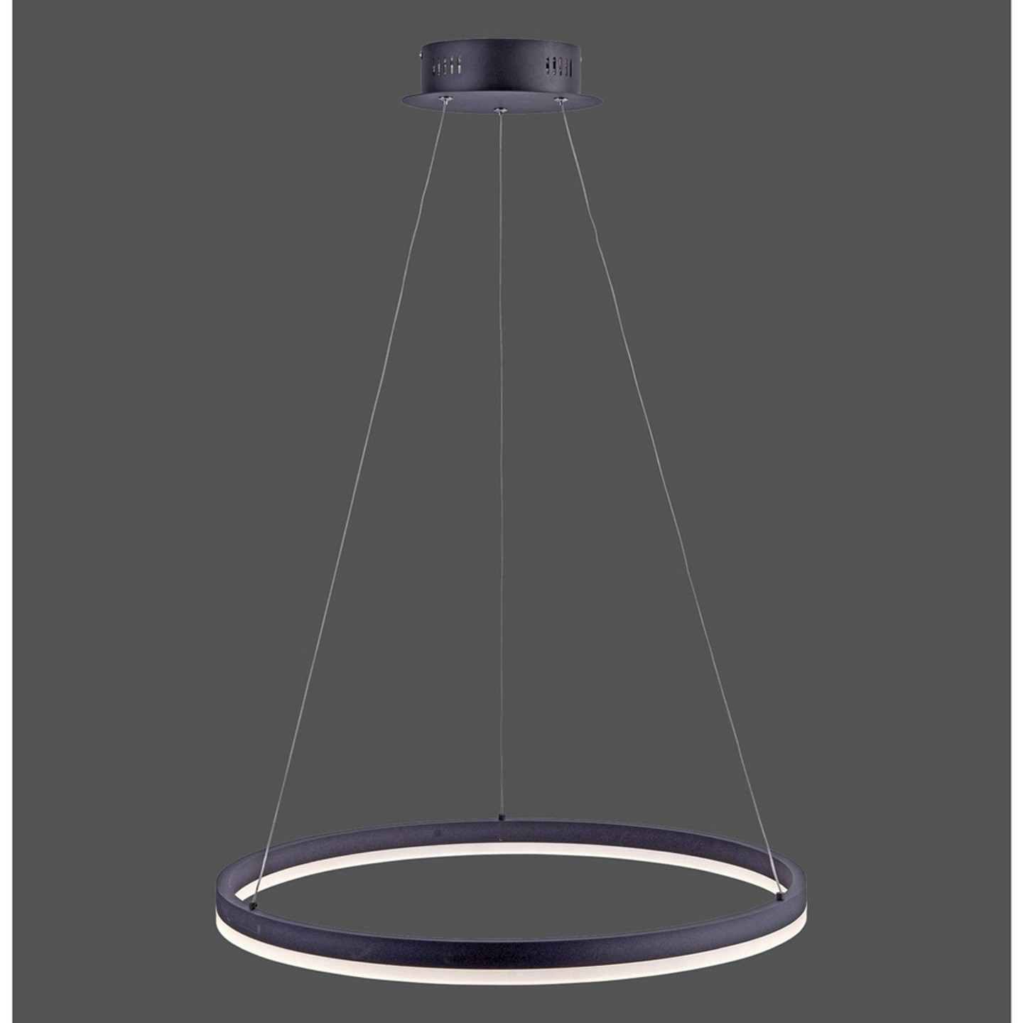 Riippuvalaisin Paul Neuhaus Titus led 600mm 38W antrasiitti