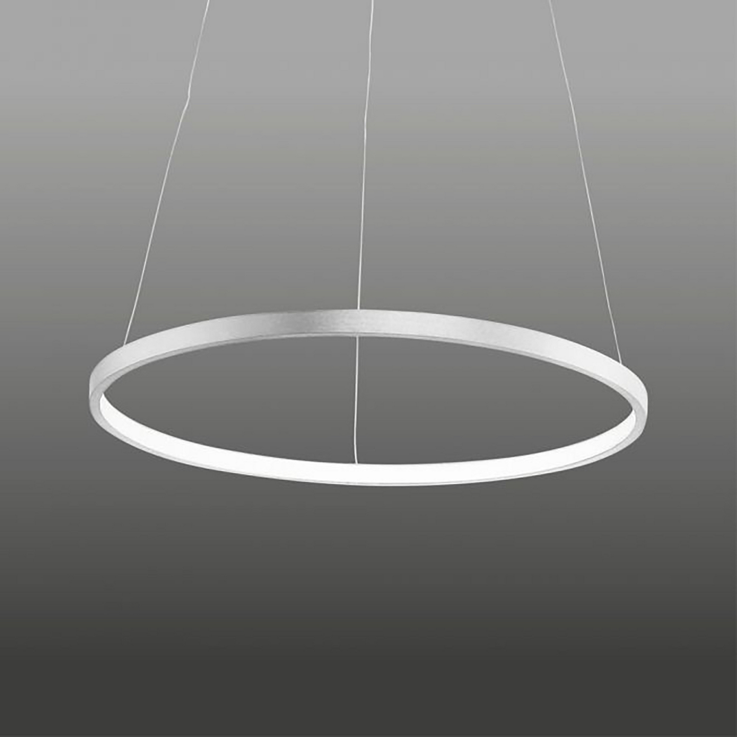 Riippuvalaisin LEUCHTEN DIREKT CIRCLE LED 390mm 22W hopea