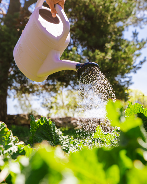 Puutarhakannu Plastex Eko 10l kierrätettyä muovia laventeli