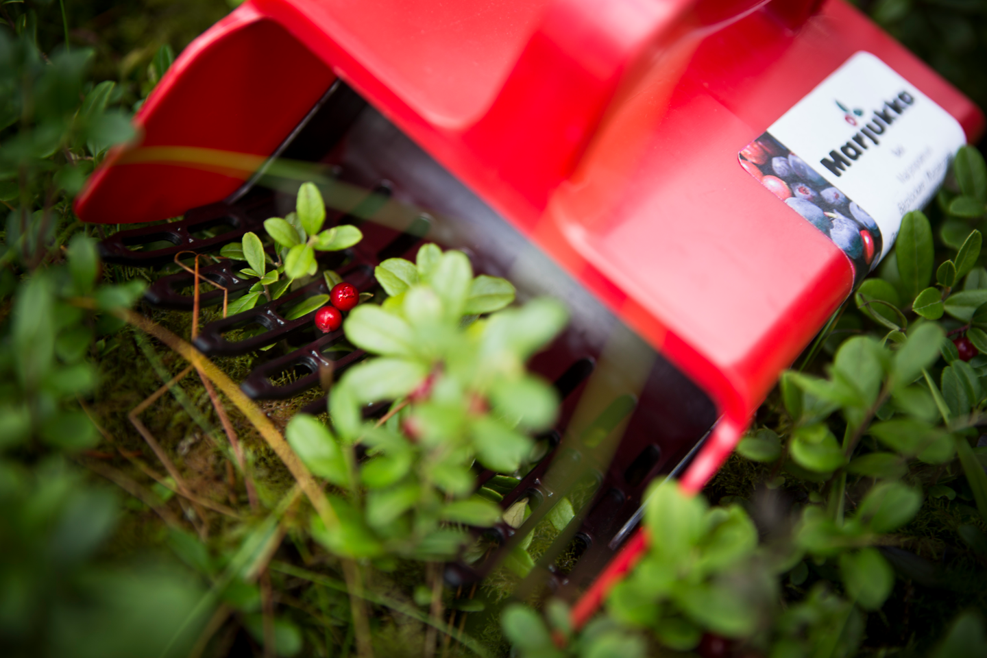 Marjanpoimuri Marjukka Basic