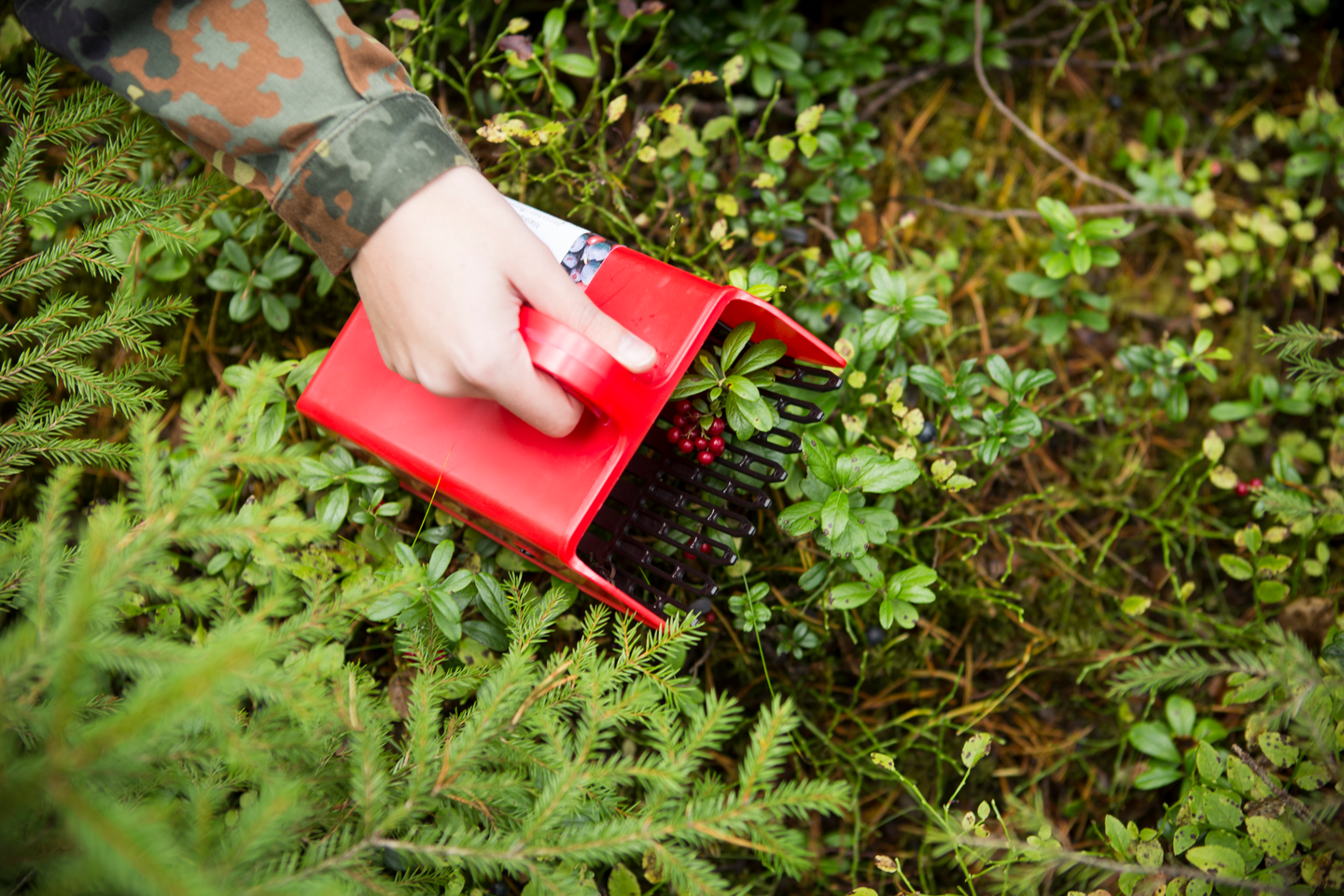 Marjanpoimuri Marjukka Basic