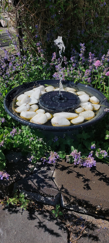 Suihkulähde Cello Lampi led valoilla, aurinkopaneelilla ja akulla