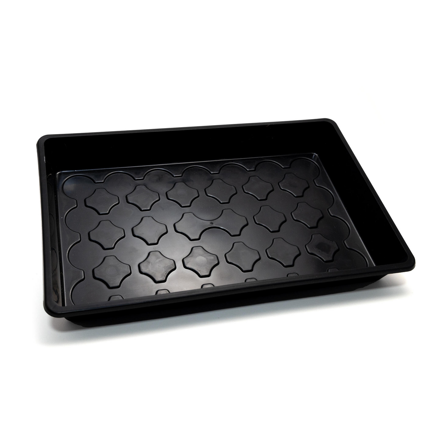 Taimikasvatuslaatikko Nelson Garden 24x38cm