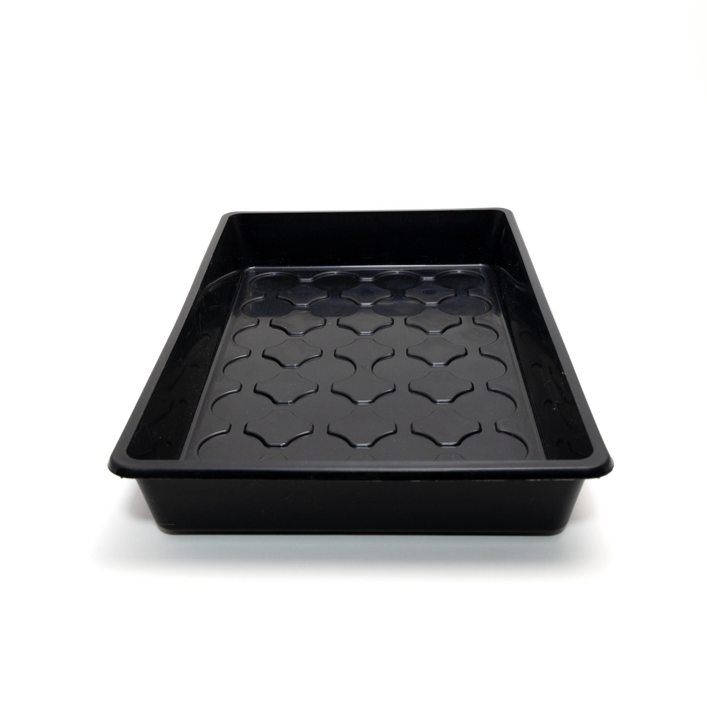 Taimikasvatuslaatikko Nelson Garden 24x38cm