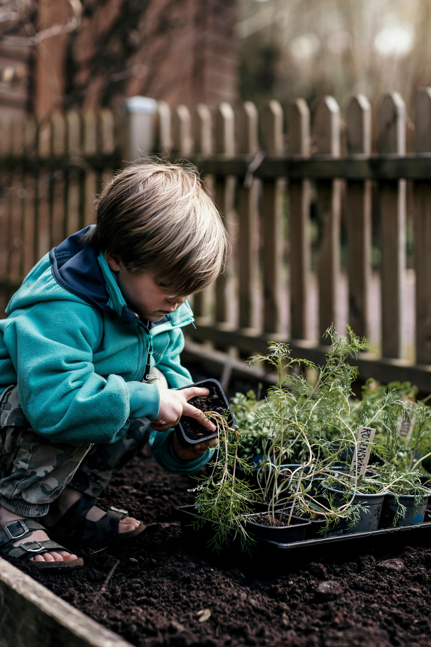 Taimikasvatuslaatikko Nelson Garden 24x38cm