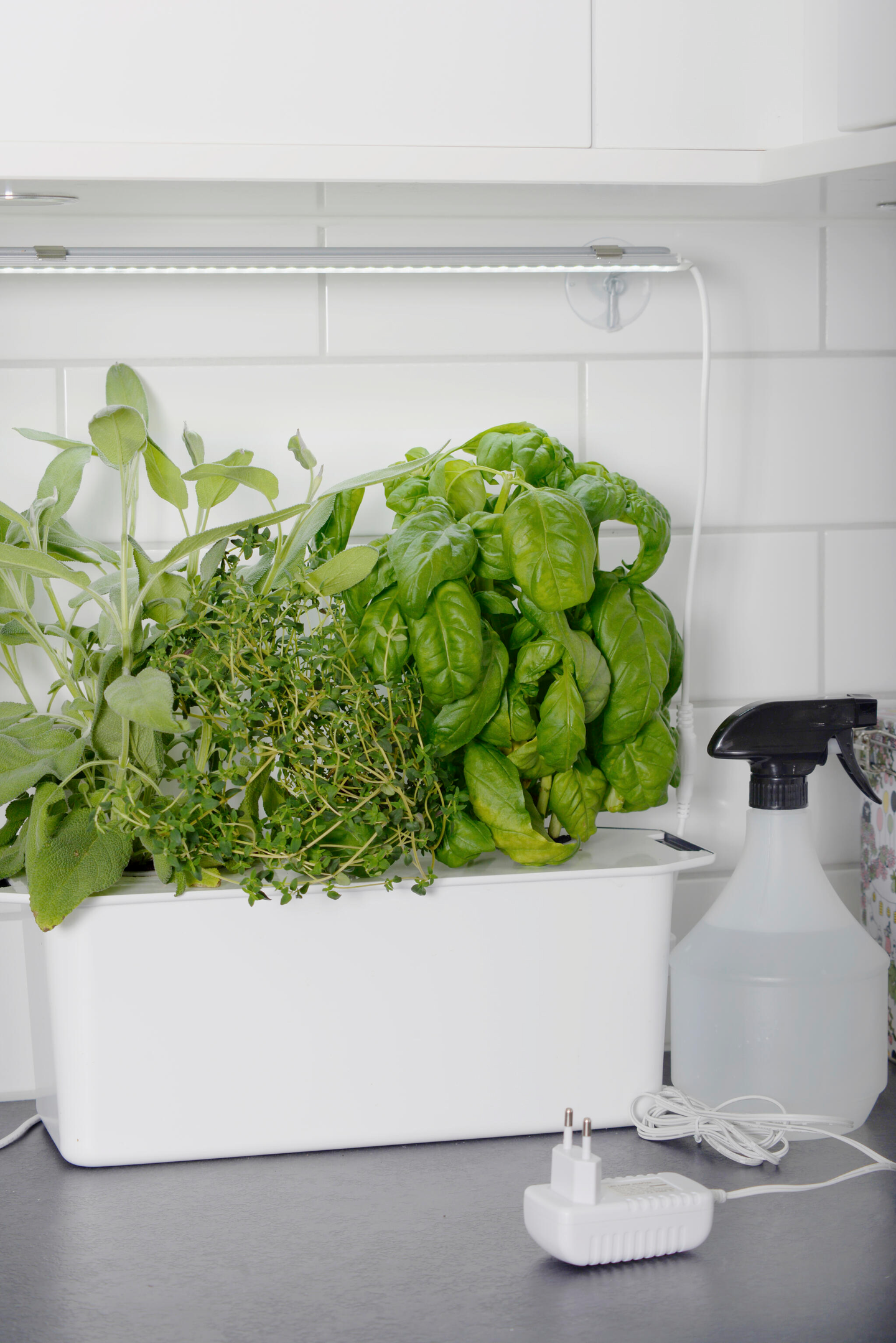 Imukuppiripustin Nelson Garden led-valolistalle