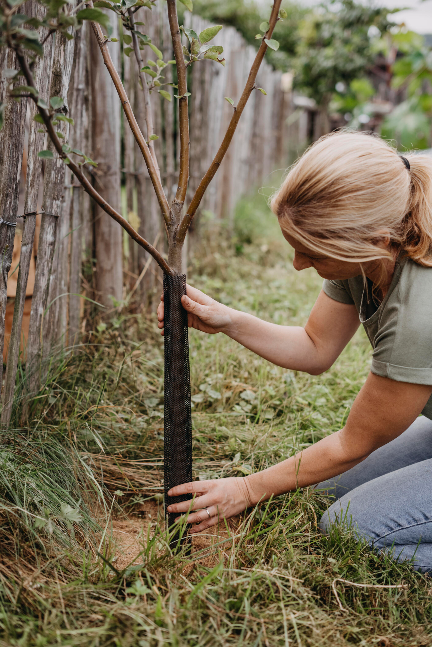 Rungonsuoja Nelson Garden 4-pack 80cm