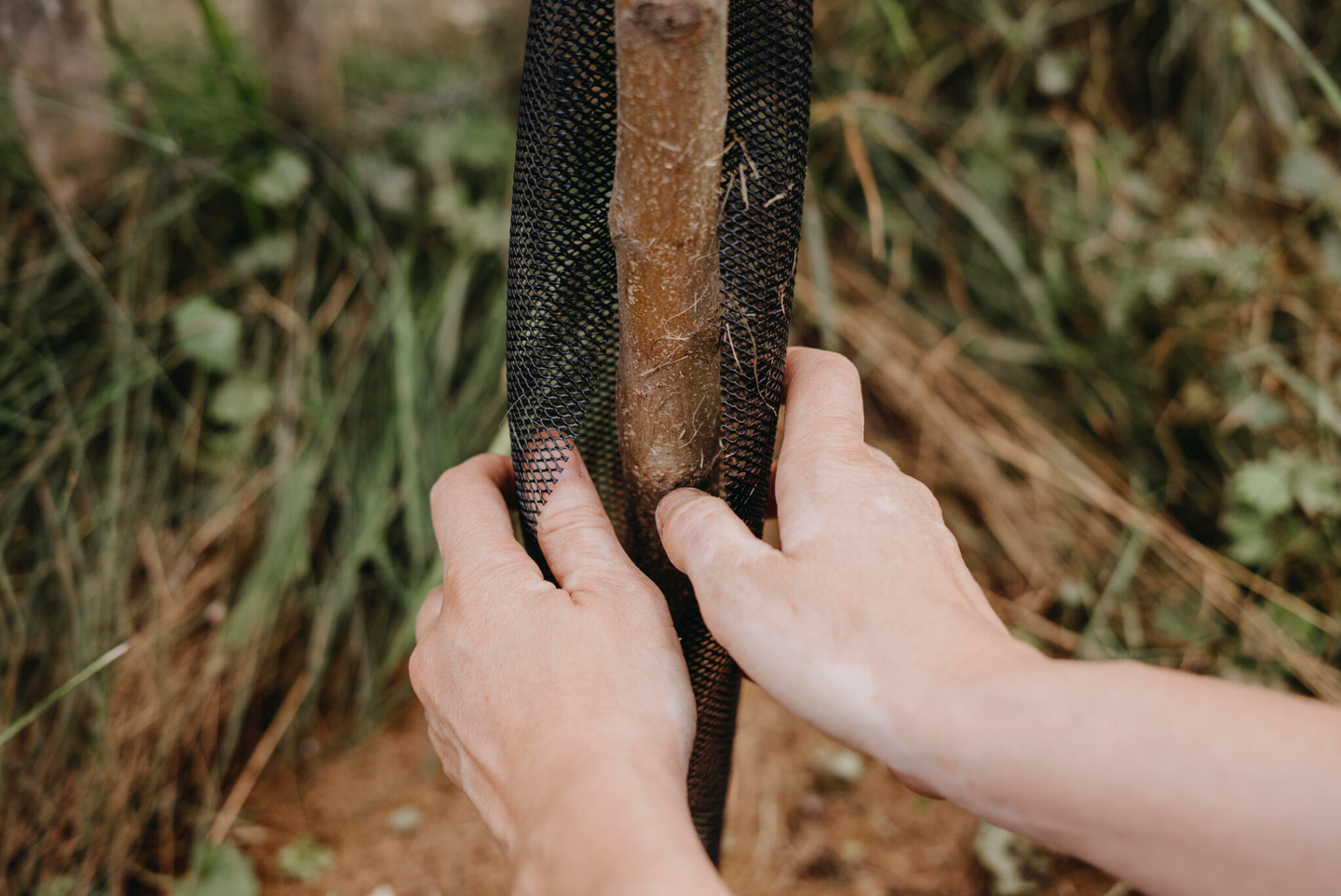 Rungonsuoja Nelson Garden 4-pack 80cm