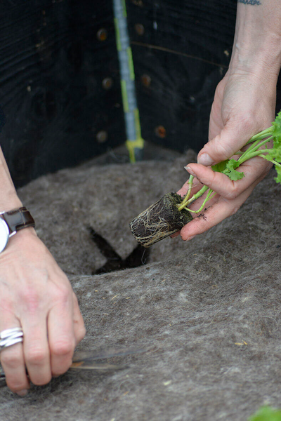 Suojamatto Villa 150x200cm