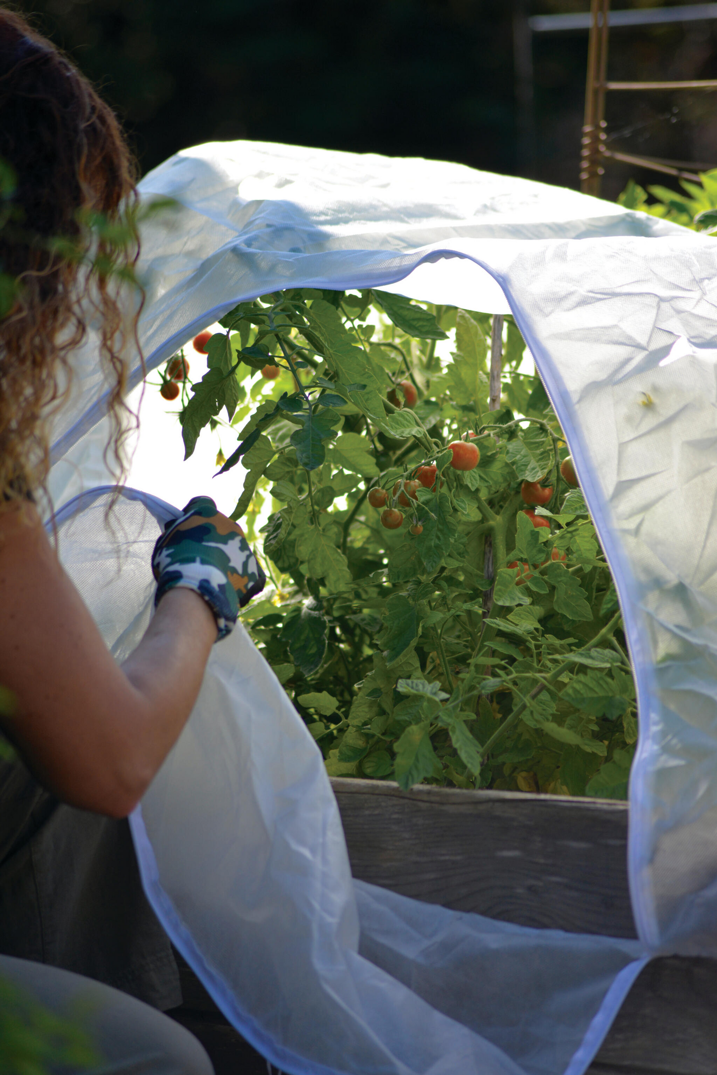 Kasvuharso kasvilavalle , avattava 120x80cm