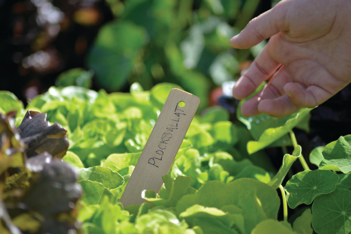 Nimisäle Nelson Garden bambu 22cm 8kpl