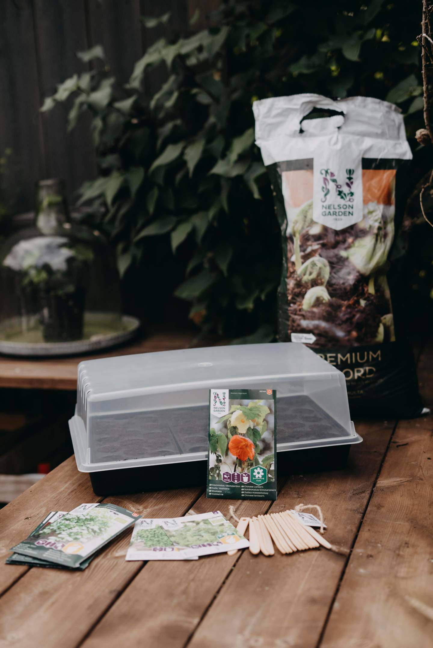 Kansi taimikasvatuslaatikko Solid 24cm x 38cm